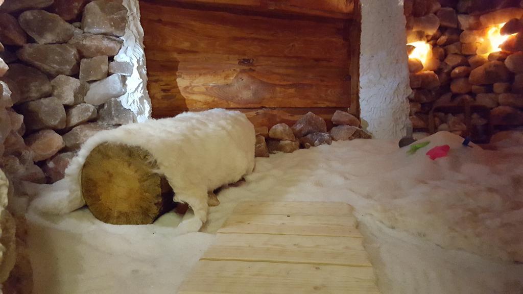 Penzion Safran Zdiar Bagian luar foto