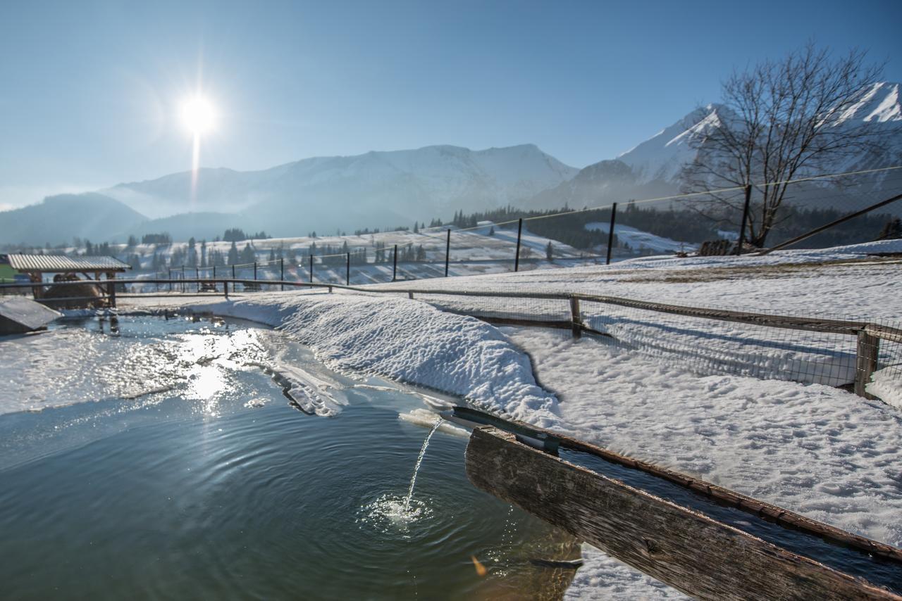 Penzion Safran Zdiar Bagian luar foto